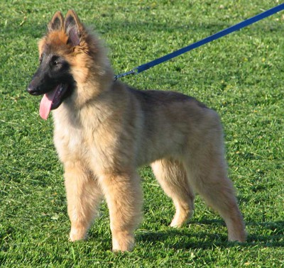 Dylan, 4 months, May 2005